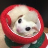 おっきー