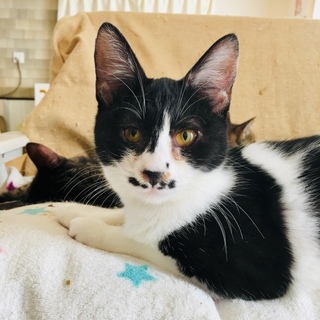 ♬マイペースでお茶目な円葉（かずは）ちゃん♬