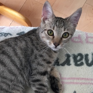 ♬大きなお目々、優しい毛色のこうめちゃん♬