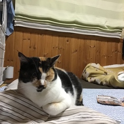 だんだんわかってきたこと。。。