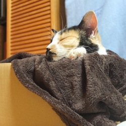 「だんだんわかってきたこと。。。」サムネイル3