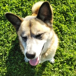 元気になりました！