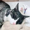 スヤ顔、、、