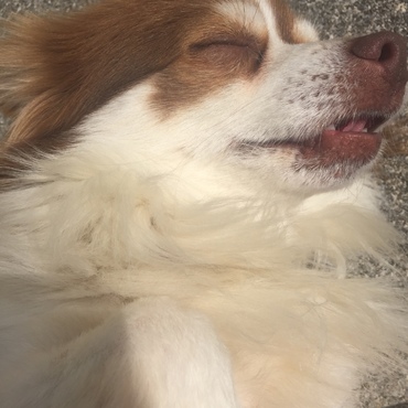 の写真