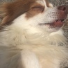 の写真