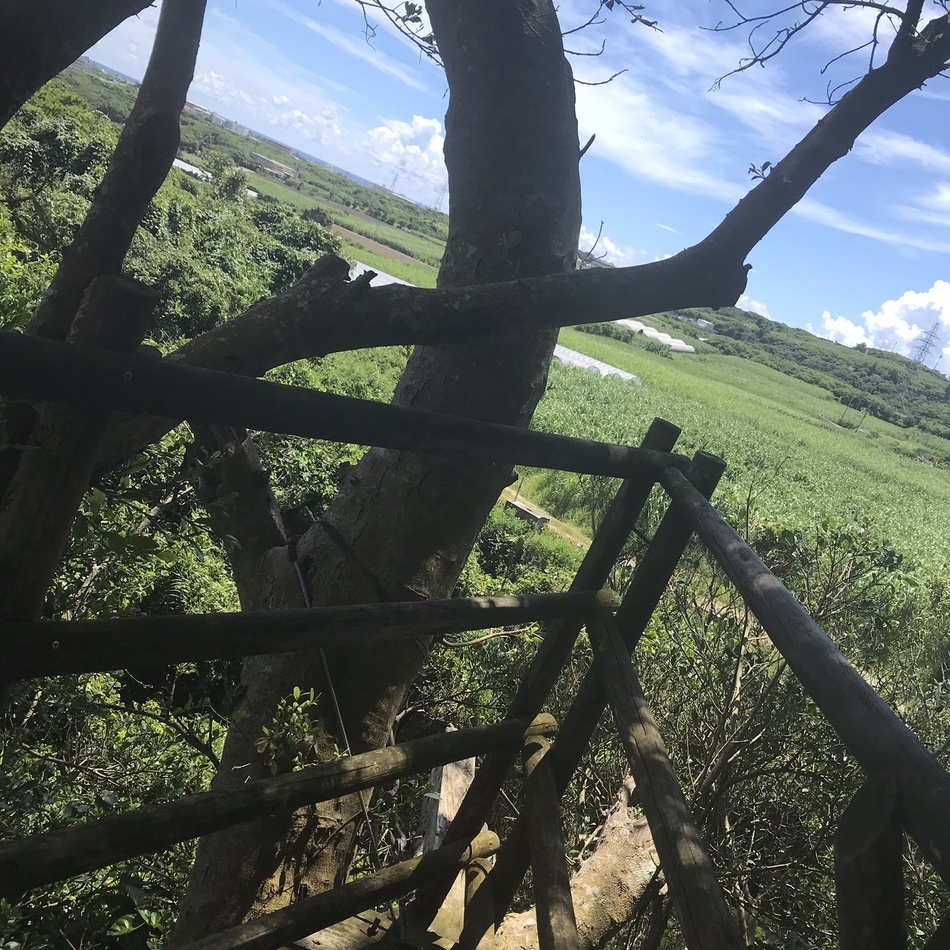 わかめのカバー写真