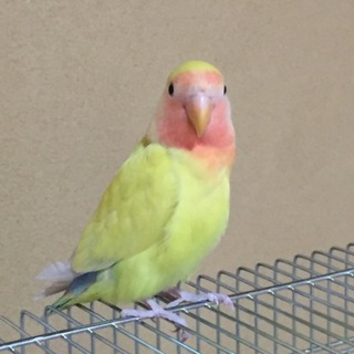 多数のご応募ありがとうございました。