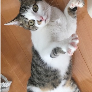 とっても甘えん坊です