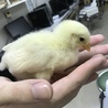 の写真