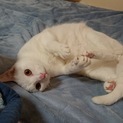 美男子です