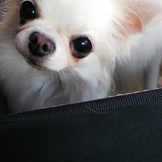 沢山のお問い合わせありがとうございました