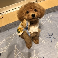 うり