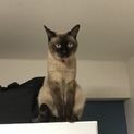 優しい方