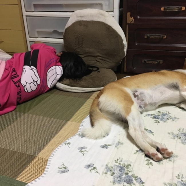 チョコゆいのカバー写真