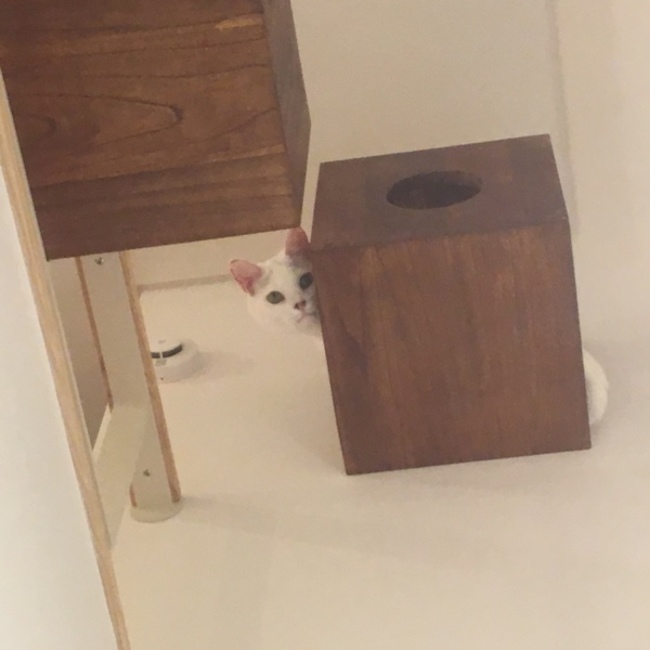 ほたる涼のカバー写真