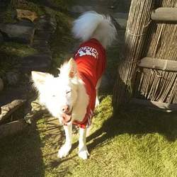 「げんきげんき♪」サムネイル2