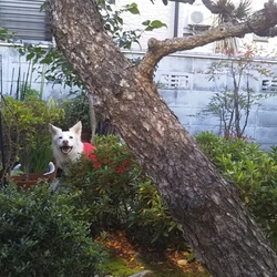 「げんきげんき♪」サムネイル3