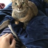 の写真