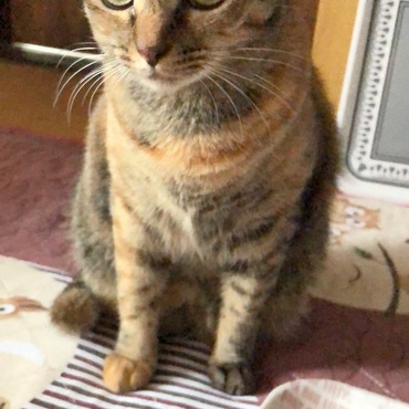 の写真