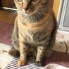 の写真