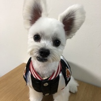 水谷はあと