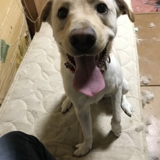 ご応募ありがとうございました！