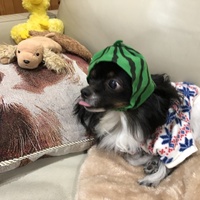 メロディー