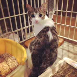 ひとみちゃん・６ヶ月女の子