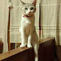 レオちゃん