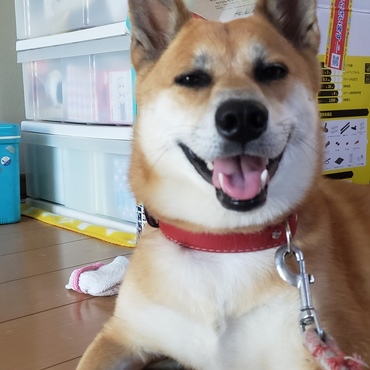 らん、大きく成長してます。