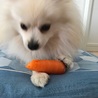 の写真