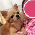 とても甘えん坊です。