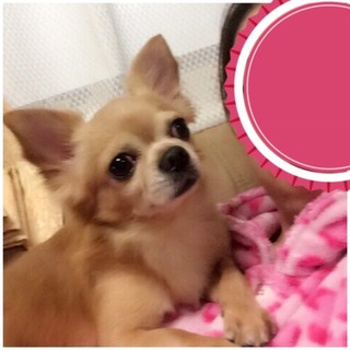 とても甘えん坊です。
