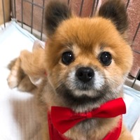 ミルキー