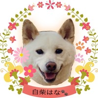 はな