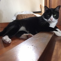 マーゴ