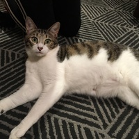 キュー