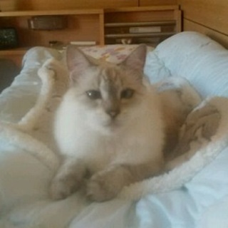 ❤家族の一員にして下さいm(__)m