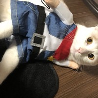 ぱる