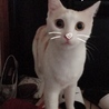 SNOWぱる
