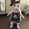 コスプレぱるちゃん