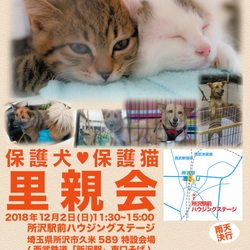 所沢駅前ハウジングステージ犬猫里親会
