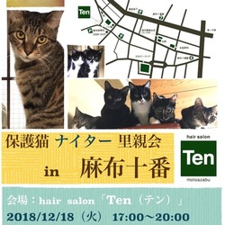 １２月１８日(火)　地域猫から社会猫へ　FIPフリー　麻布十番ナイター里親会（ボランティア募集中）