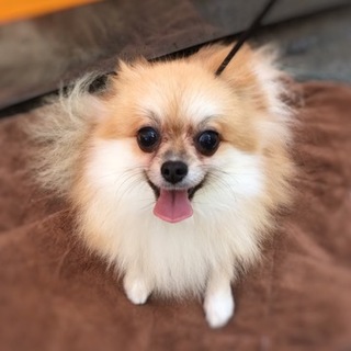 募集一時停止中☆マリンちゃん