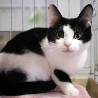 #松太くん 白黒元気印！