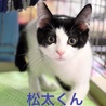 #松太くん 白黒元気印！ サムネイル2