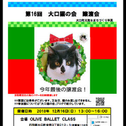 大口町元気なまちづくり事業　第１６回　猫の譲渡会 サムネイル2