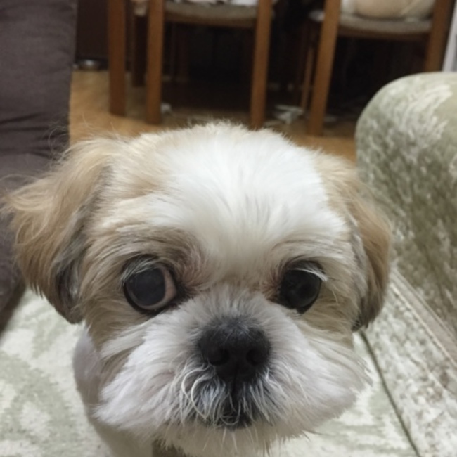 なお&りくのカバー写真