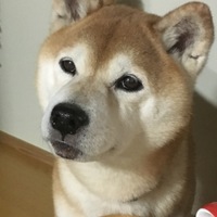 ぽち