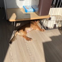 あめ